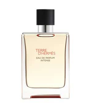 HERMÈS Terre d'Hermès Eau de Parfum Intense Eau de Parfum 100 ml