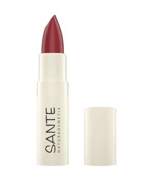 Sante Moisture Lipstick Lippenstift 5 g Braun