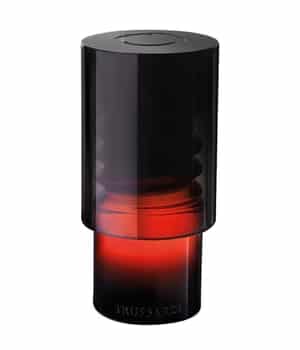 Trussardi Primo Eau de Parfum 100 ml