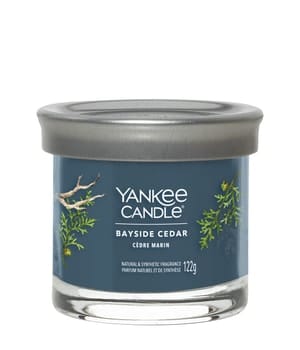 Yankee Candle Bayside Cedar Signature Tumbler Duftkerze 122 g