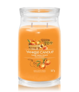 Yankee Candle Farm Fresh Peach Duftkerze 567 g